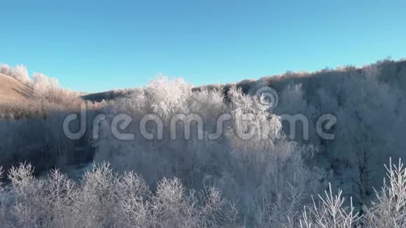 冬季寒冷的森林冬日的鸟瞰视频的预览图