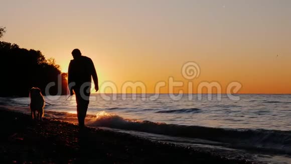 日落时一个孤独的人和一只狗在湖边或海边散步前视图慢动作4k视频视频的预览图