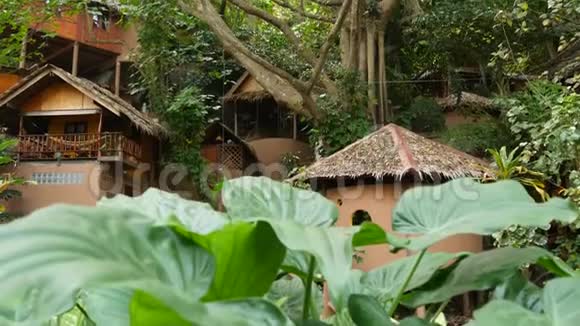 热带树附近可爱的小屋阳光明媚的一天美丽的小村庄坐落在令人惊叹的热带树木周围视频的预览图