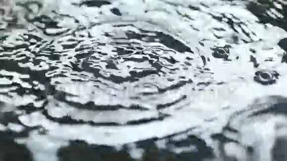 大雨水滴视频的预览图