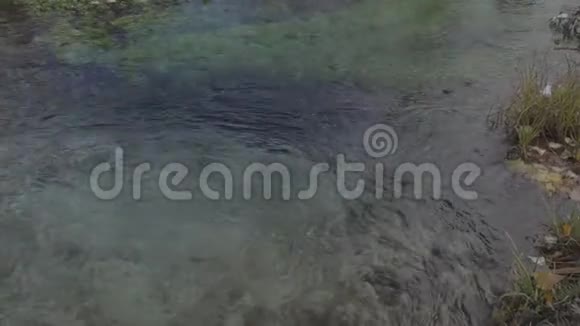 溪水净水底视频的预览图