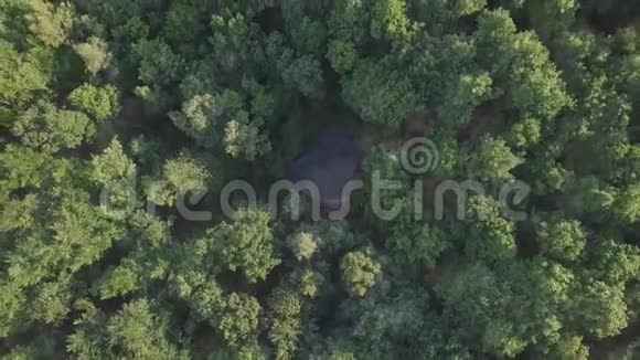 在乡村风景中飞过美丽的绿色森林视频的预览图