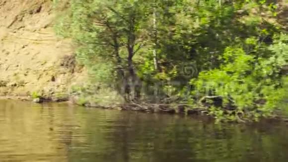 从一艘移动的船上拍摄的湖岸森林视频的预览图