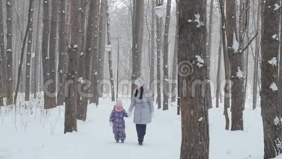 母亲和女儿在雪林或公园散步视频的预览图