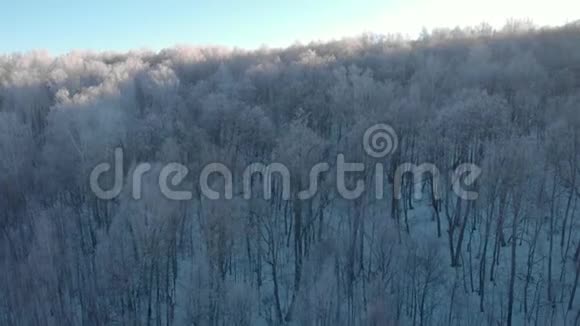 冬季寒冷的森林冬日的鸟瞰视频的预览图