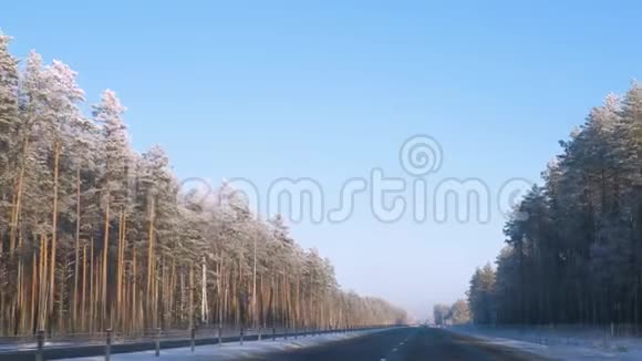 在阳光明媚的冬日在公路上行驶霜冻中的树木视频的预览图