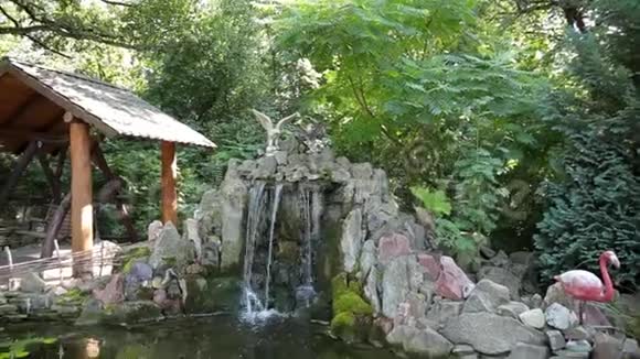 花园里有喷泉和金鱼的装饰池视频的预览图