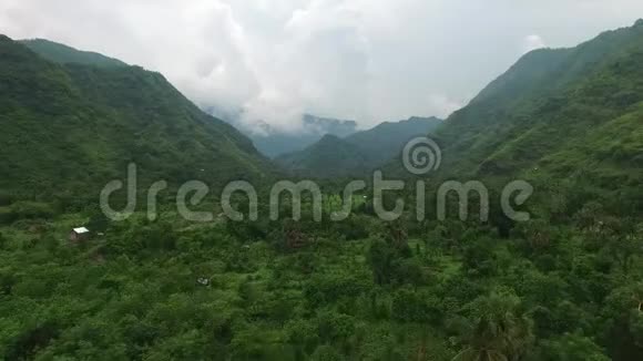 沿着热带雨林覆盖的山脉飞行视频的预览图