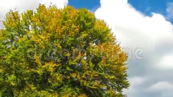 秋色绚丽的树木草地和山丘视频的预览图