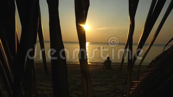 在大海和日落的背景下人们坐在海滩上休息透过棕榈树的枝条观看视频的预览图