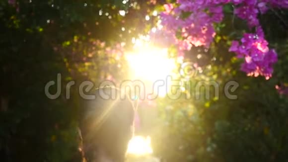 日落时年轻人在公园里穿过阳光明媚的道路在花丛中晒太阳慢动作1920x1080视频的预览图