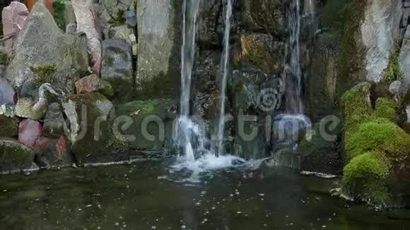 花园里有喷泉和金鱼的装饰池视频的预览图