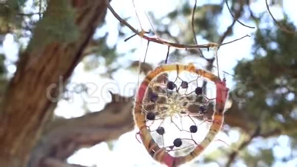 大自然中的装饰捕梦器视频的预览图