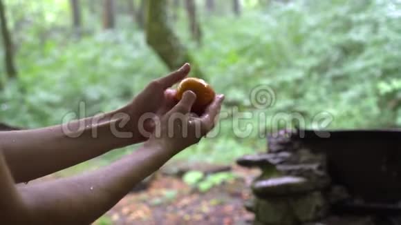 热带森林雨水中女性手洗桃视频的预览图