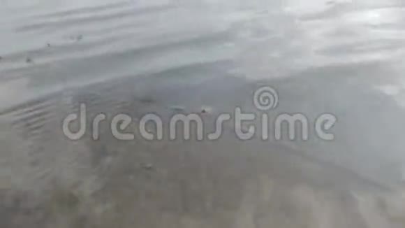 波浪在水上视频的预览图