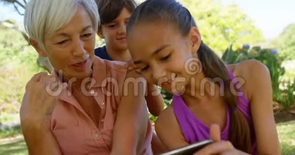 在公园里奶奶和孙子们用手机视频的预览图