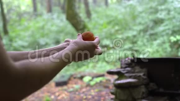 用马拉木狗在森林中洗手桃视频的预览图