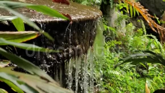 深雨林中带有纯净自然水的瀑布视频的预览图