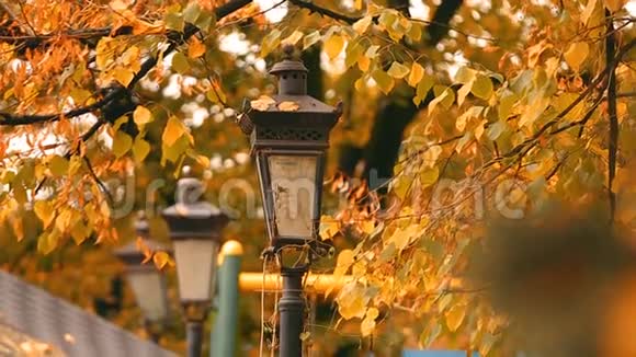 黄秋公园的老式灯笼风吹过的叶子公园里的大自然视频的预览图