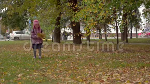 在学校学习之后女孩子女学生在公园里收集秋天的枫叶女孩手工艺品需要枫叶视频的预览图