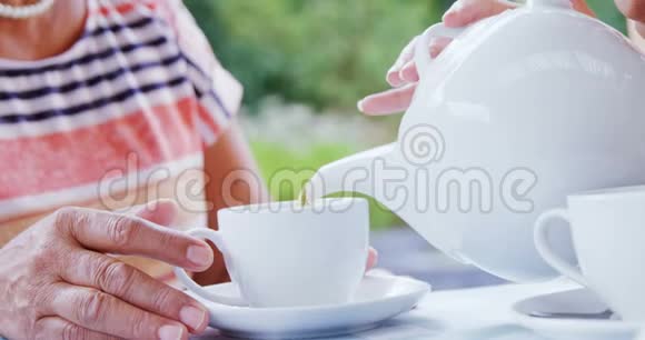 花园里的老妇人把水倒进她的杯子里视频的预览图