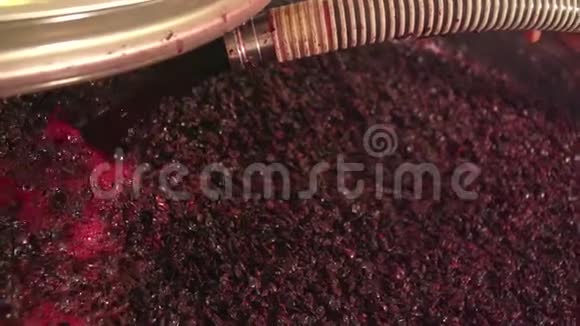 在发酵罐中注射葡萄汁视频的预览图