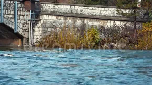秋天斯洛文尼亚的石桥下流淌着蓝色的河水视频的预览图