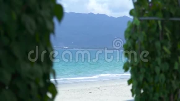 碧海之上的夏日沙滩山青水绿的热带植物景观夏日海滩和碧海绿茵植物视频的预览图