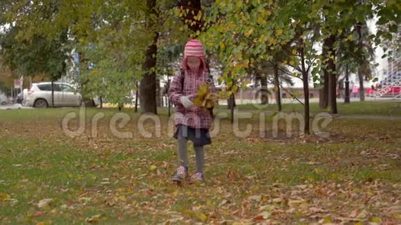 在学校学习之后女孩子女学生在公园里收集秋天的枫叶女孩手工艺品需要枫叶视频的预览图