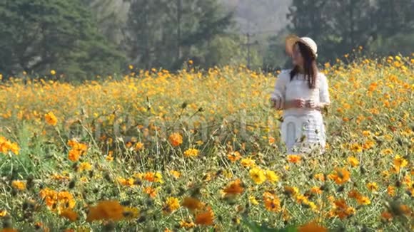 亚洲妇女在花园里绽放花朵在清晨随风飘动视频的预览图