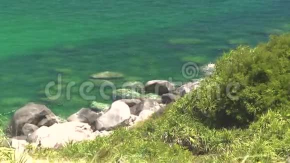 碧海绿岛上清澈的海水和岩石海岸绿色岛屿海岸透明的海洋和岩石视频的预览图