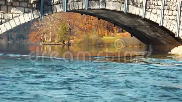 秋季石桥下流水视频的预览图
