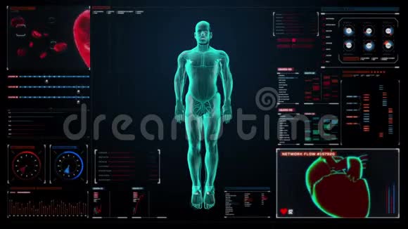 放大旋转体和扫描心人体心血管系统蓝色X光在数字显示用户界面面板上视频的预览图