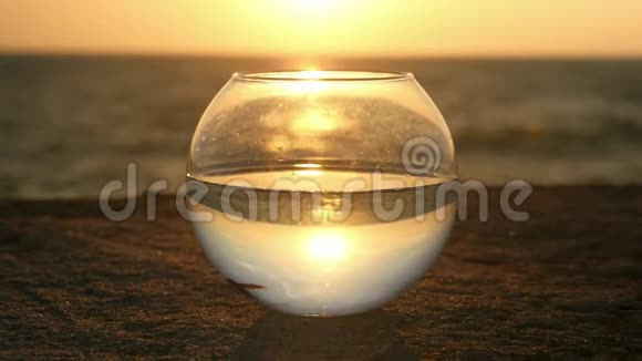 概念自然保护小鱼在日落时漂浮在海边的圆形鱼缸里视频的预览图