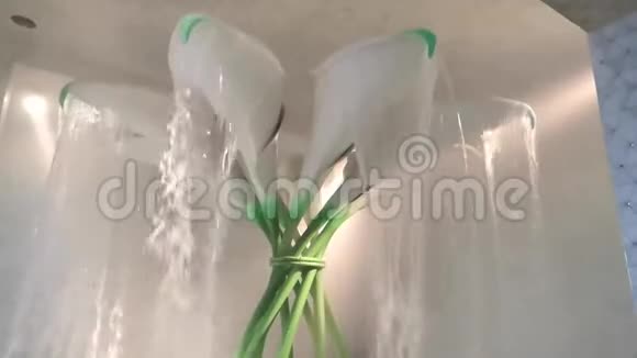 冷水淋浴水滴喷射视频的预览图