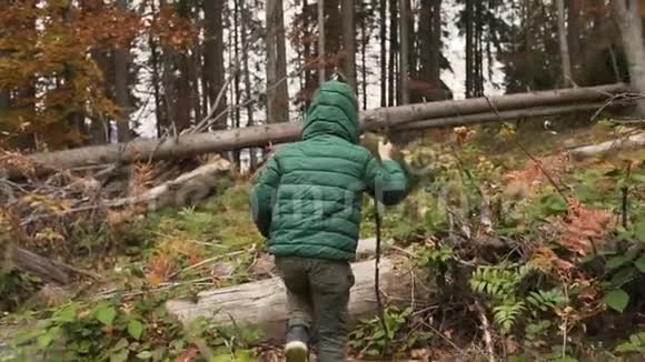 阳光明媚的一天一个小男孩手里拿着木棍在山林里散步一个穿绿色衣服的徒步旅行者视频的预览图