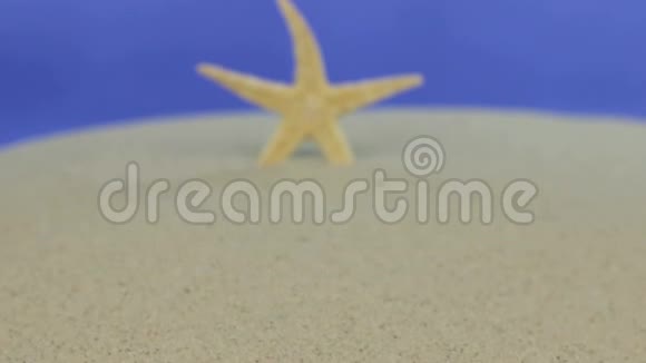 走近站在沙滩上的海星孤立视频的预览图