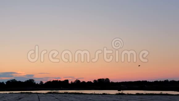一个运动员沿着水边在池塘边跑的剪影生活方式黎明前的晨光视频的预览图