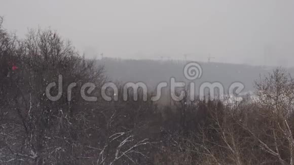 冬季公园景观视频视频的预览图