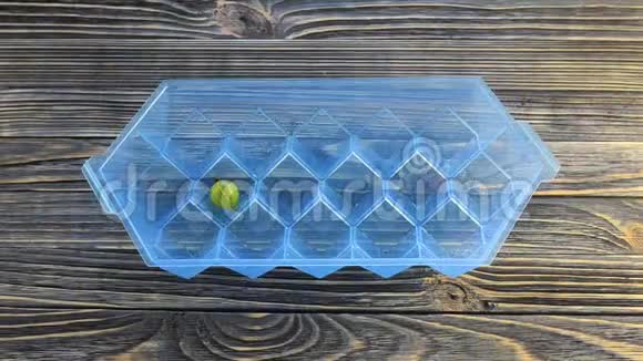 蓝塑冰模新鲜浆果制冰立方的工艺视频的预览图