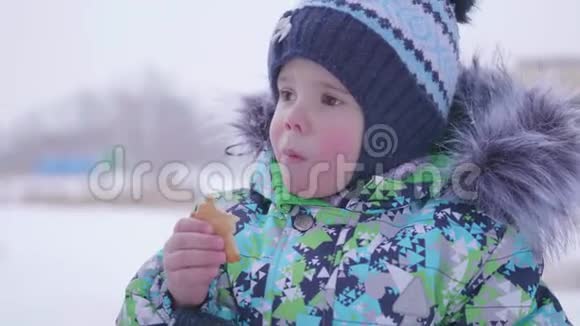 孩子在户外冬天吃饼干在新鲜空气中行走视频的预览图