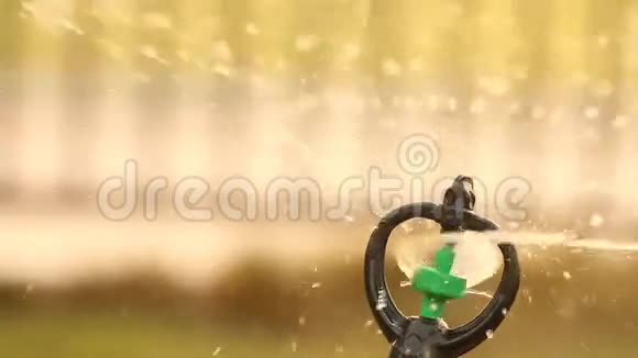 闭水洒水喷雾浇水暖色调视频的预览图