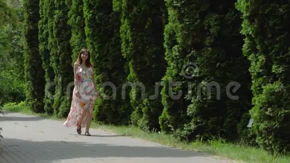 在阳光明媚的夏日穿着裙子走在装饰柏树的小巷里视频的预览图