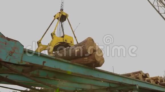 用起重机装载原木锯木厂的起重机装载原木在工厂工作视频的预览图