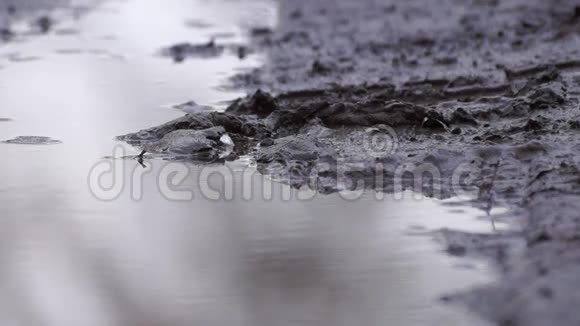 街上泥泞的水坑视频的预览图