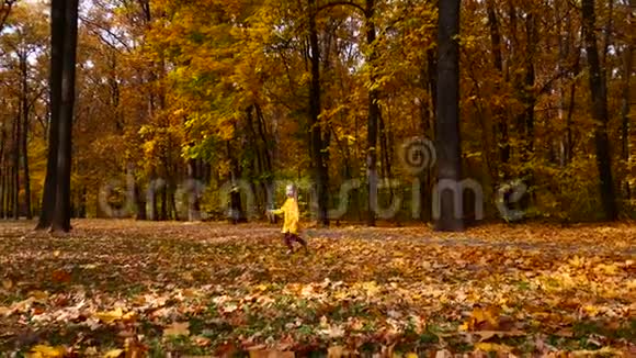 孩子们在秋天公园玩落叶秋天的户外乐趣视频的预览图