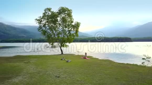 一棵高大的卷曲孤树在丘陵地带视频的预览图