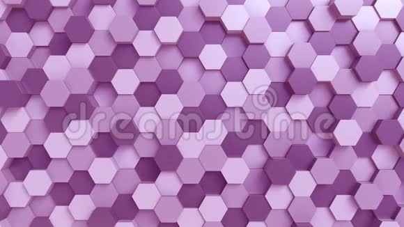 紫色六边形背景视频的预览图
