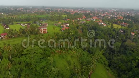 空中拍摄的艺术家步行坎布汉岭步行在乌布村在巴厘岛全景镜头视频的预览图