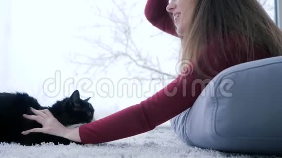 对动物的爱可爱的雌性在家中与猫在全景窗的背景下休息视频的预览图